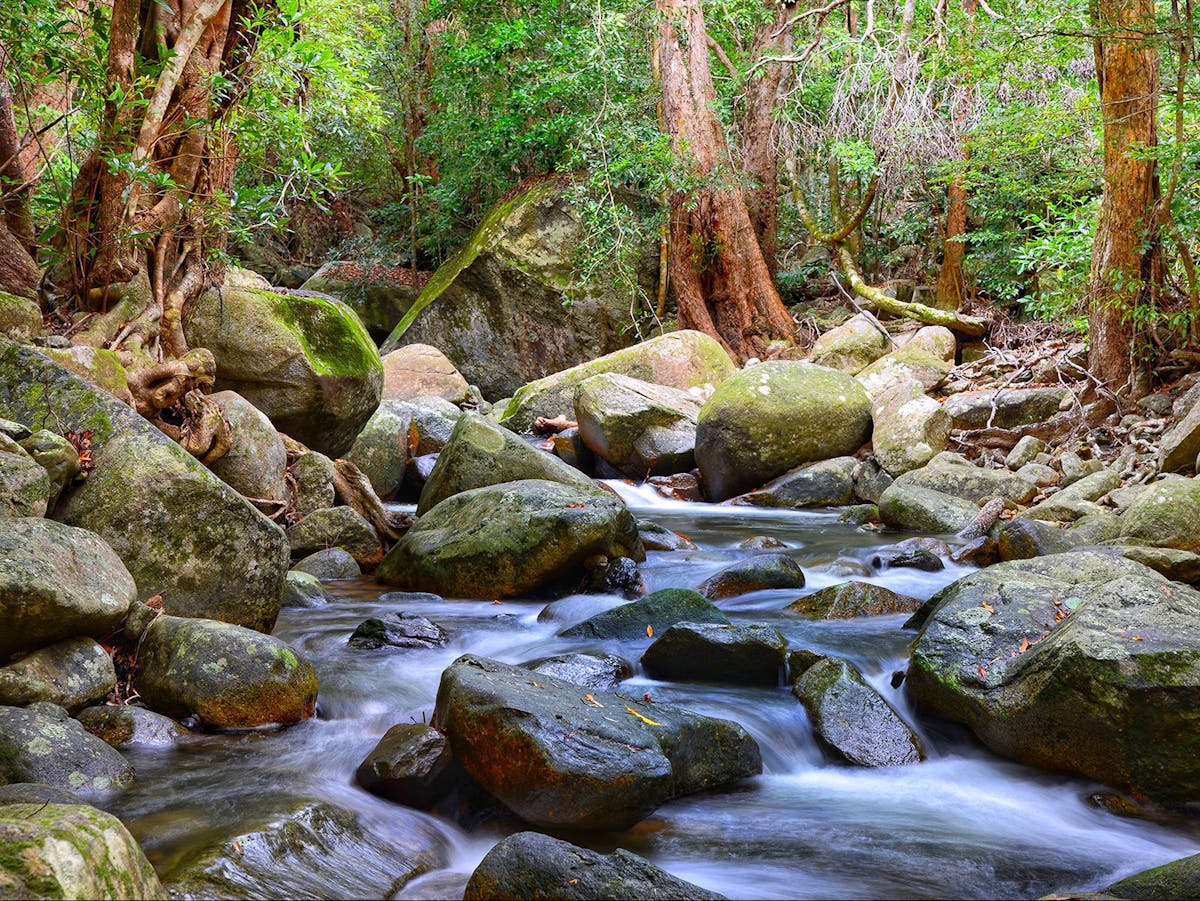 Mungumby Creek 20 metres from the homestead