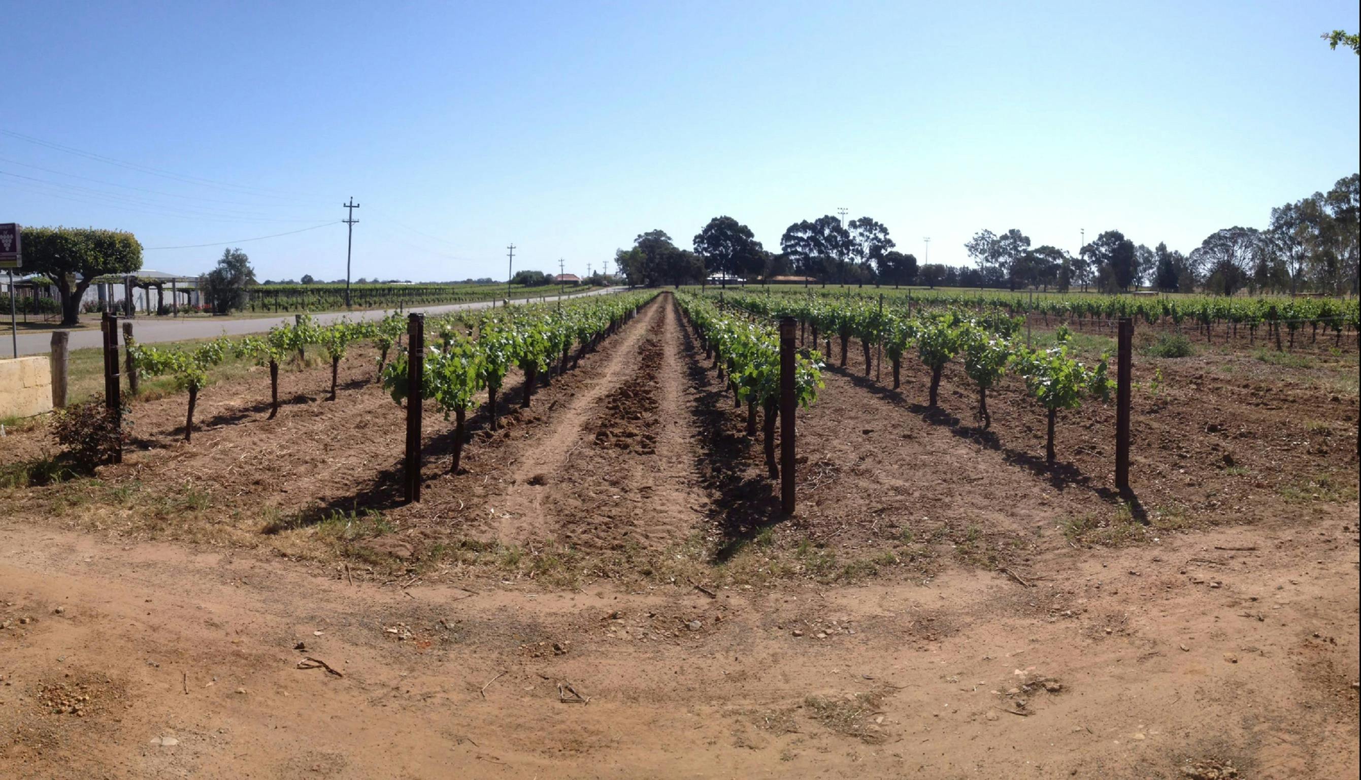 Harris Organic Wines, Baskerville, Western Australia