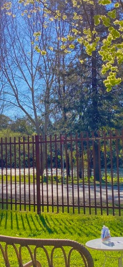 Gorgeous river views from the lawn