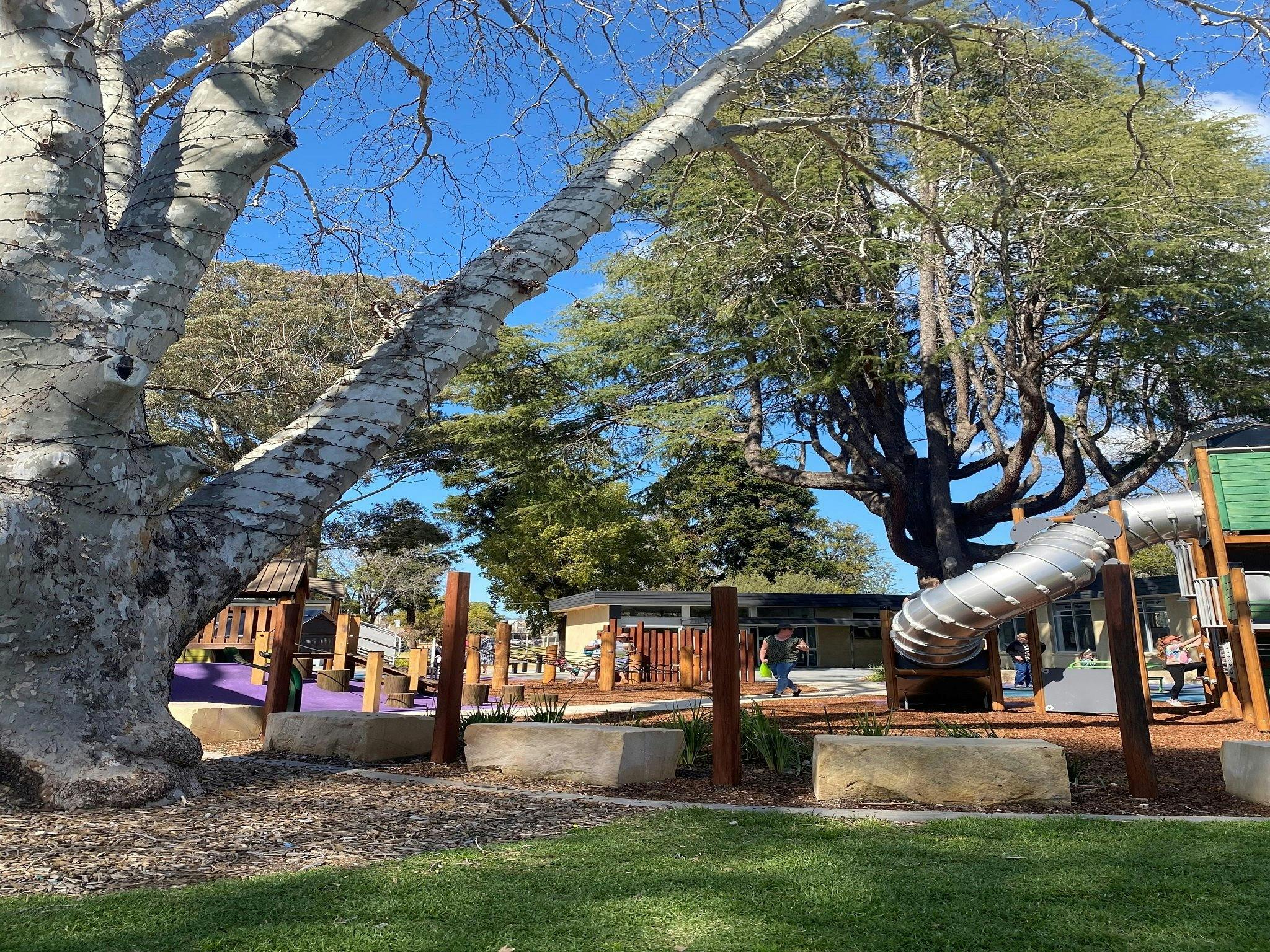 Cameron Park NSW Holidays & Things to Do, Attractions