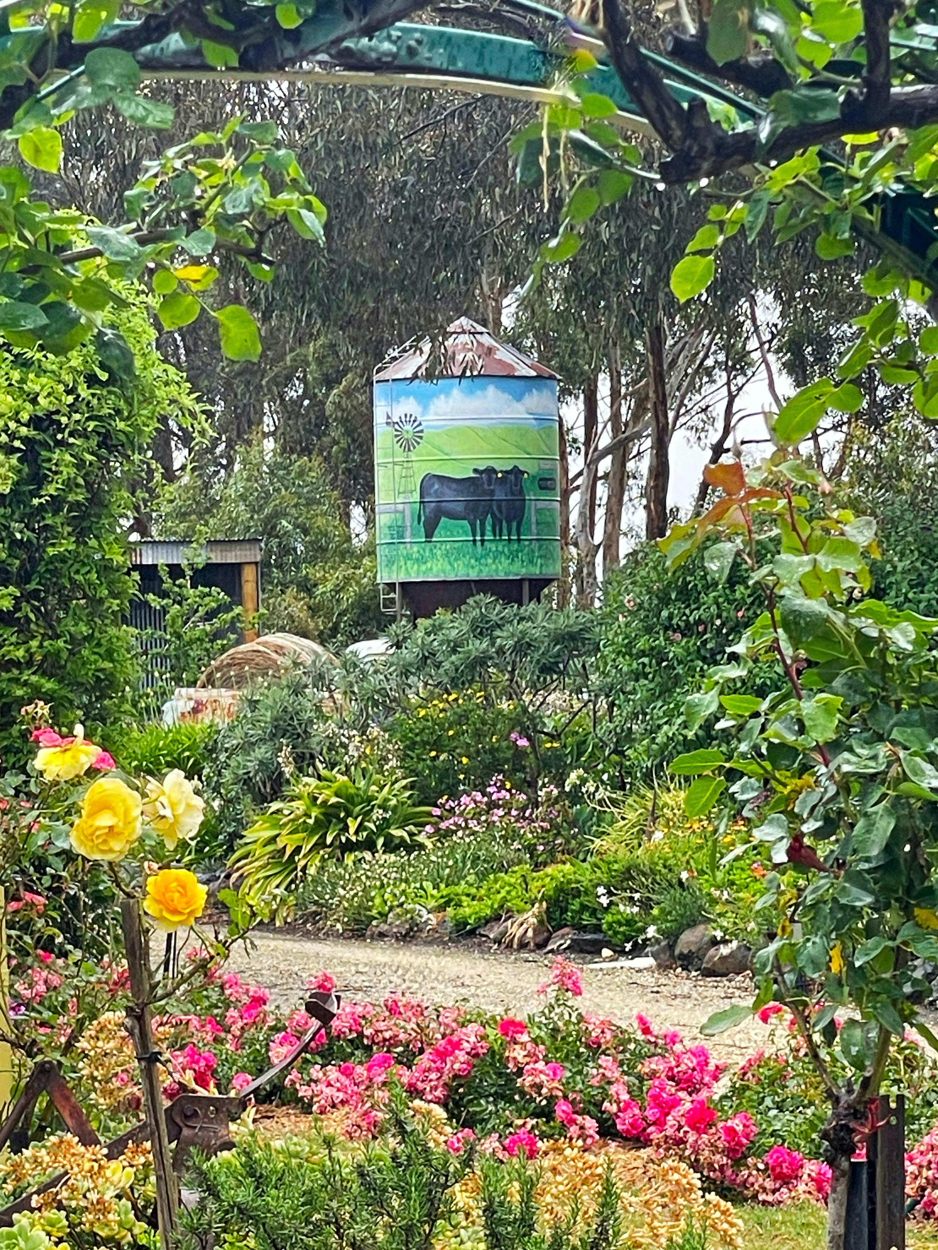 Open Gardens Victoria - Moriac Heights, painted silo