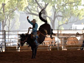 Nebo Rodeo Cover Image