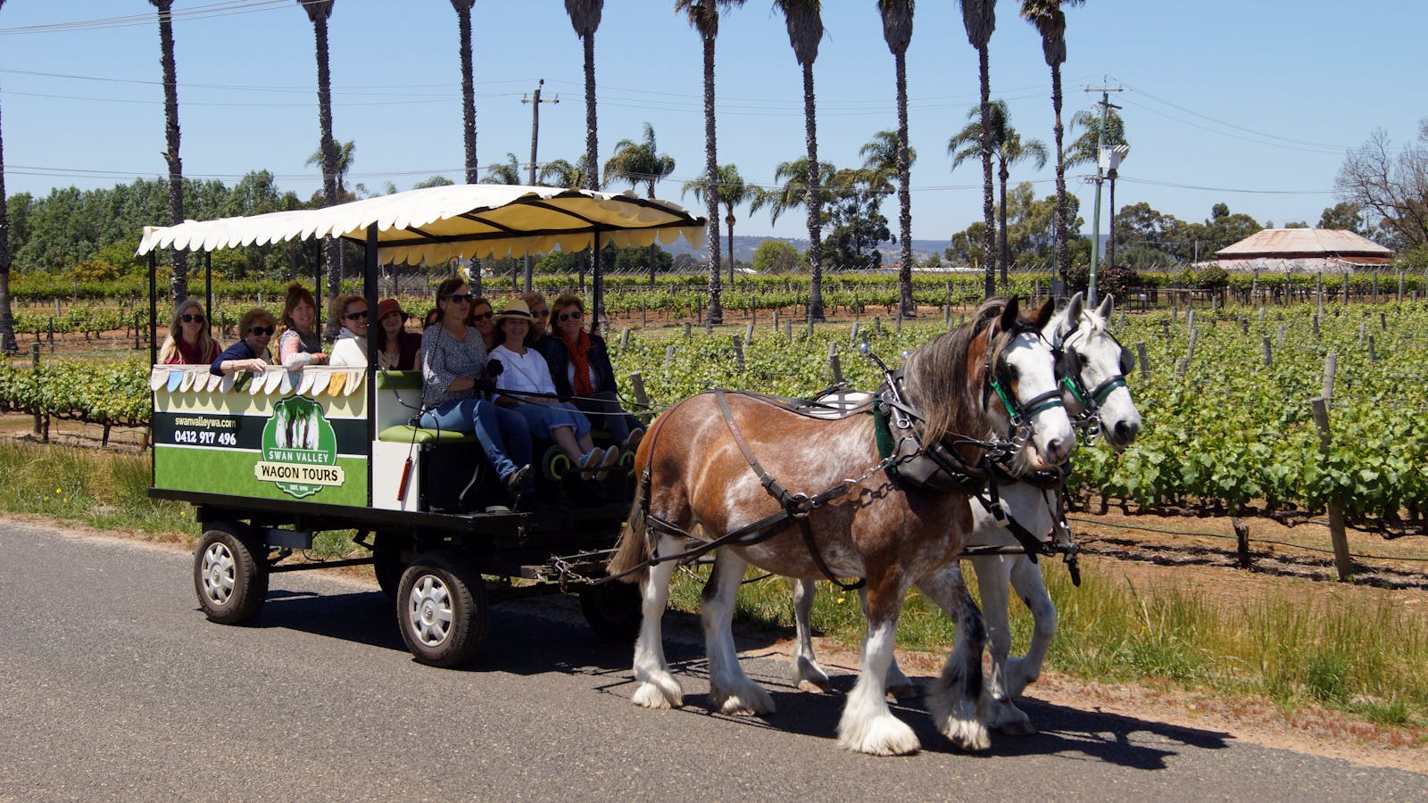 Swan Valley Wagon Tours
