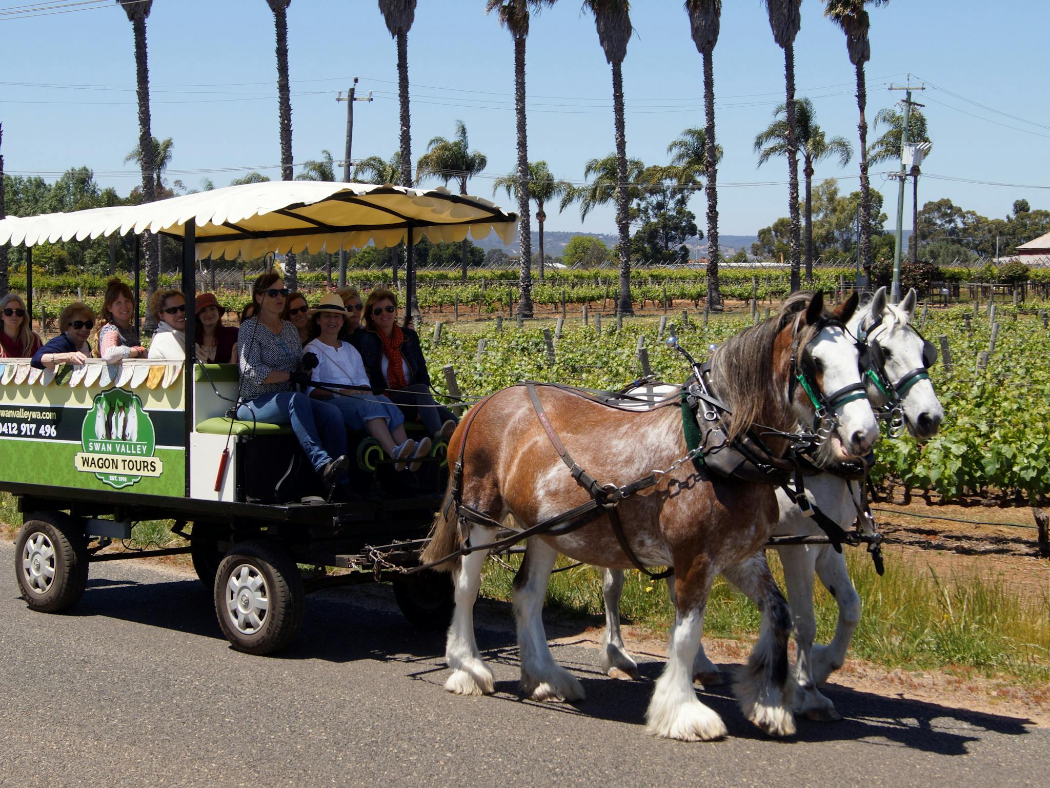 Swan Valley Wagon Tours