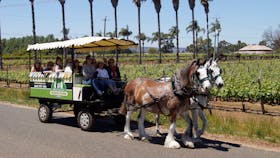 Swan Valley Wagon Tours, West Swan, Western Australia