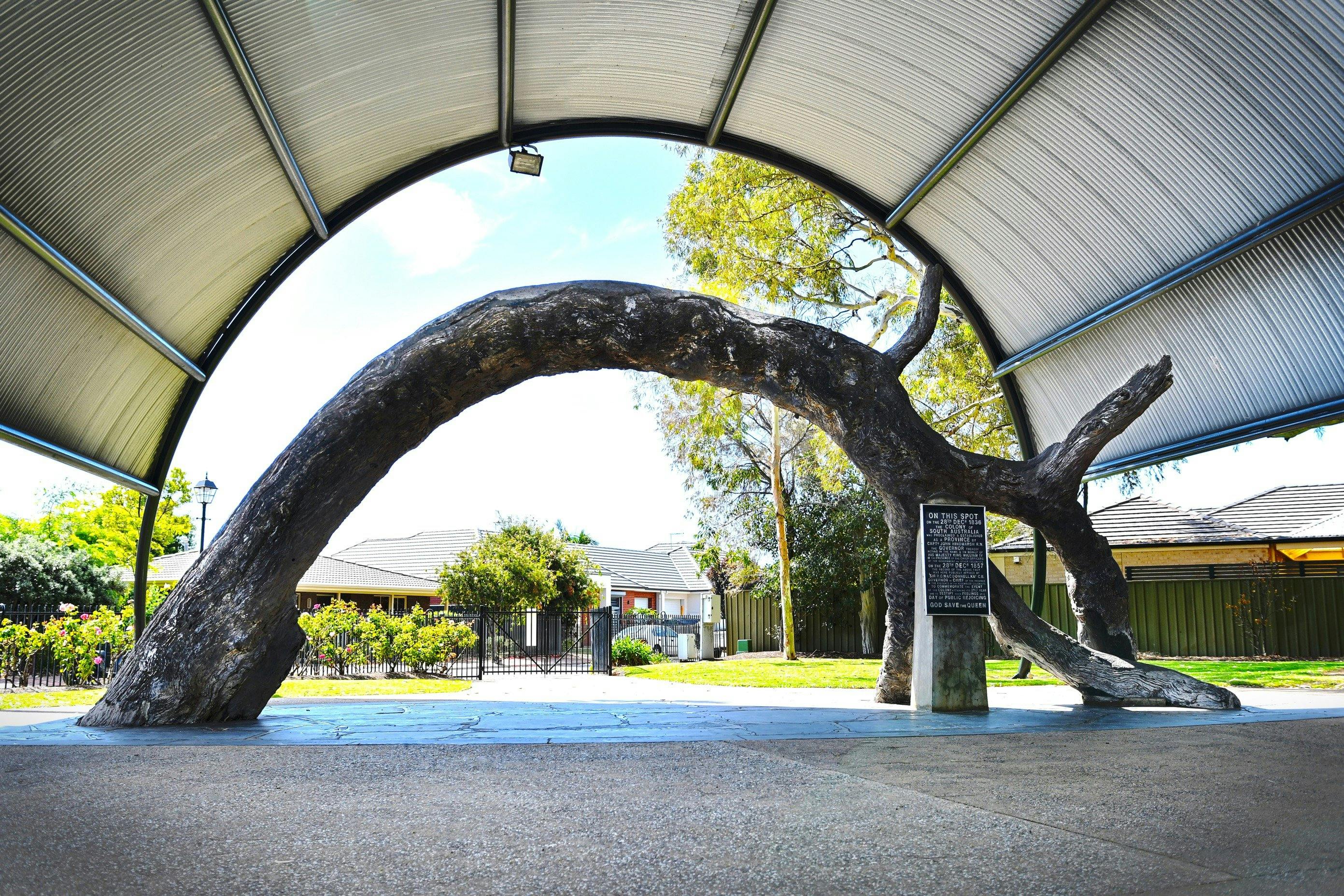 Old Gum Tree Reserve