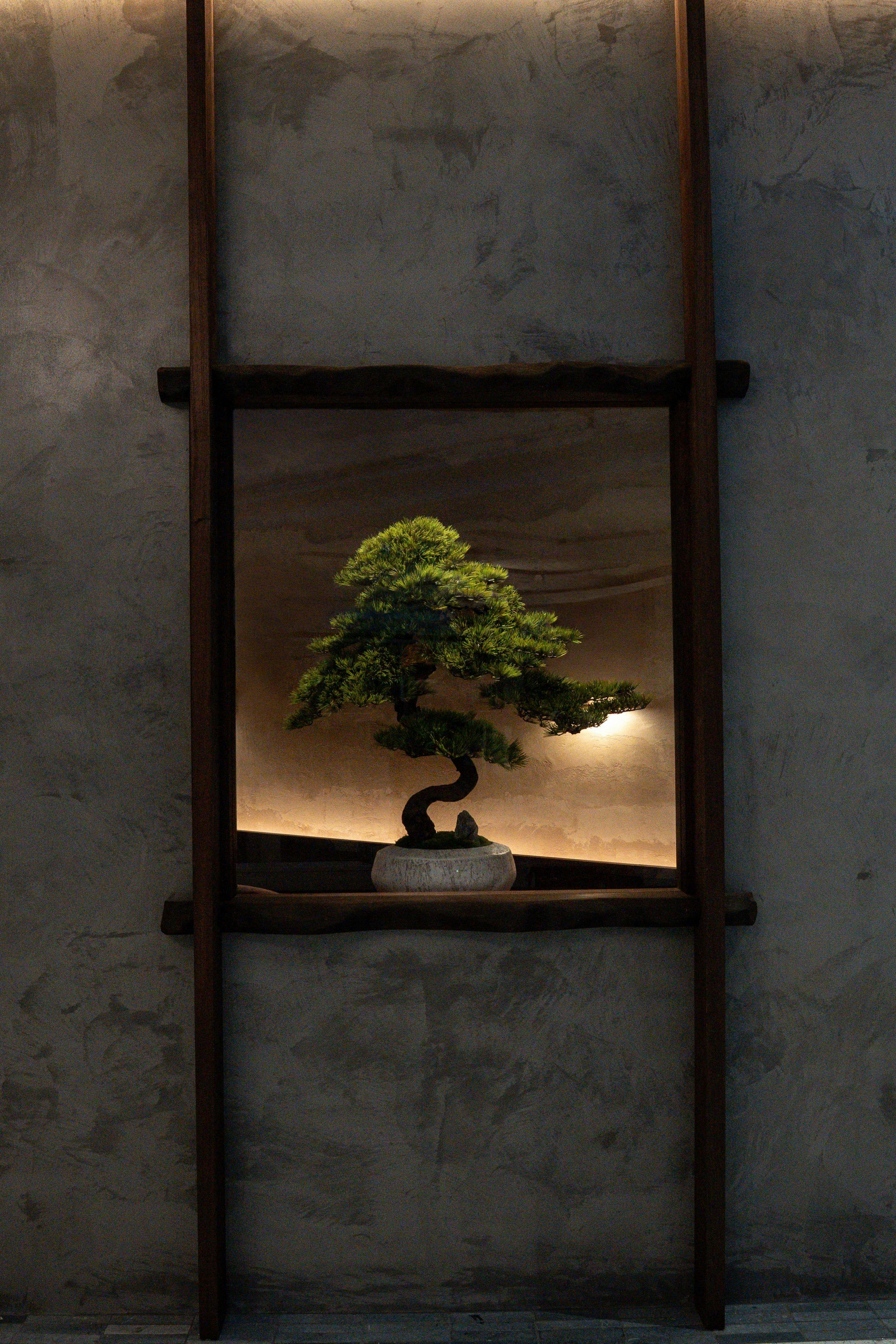 Nature, stillness, and intention — the essence of Yūsen.