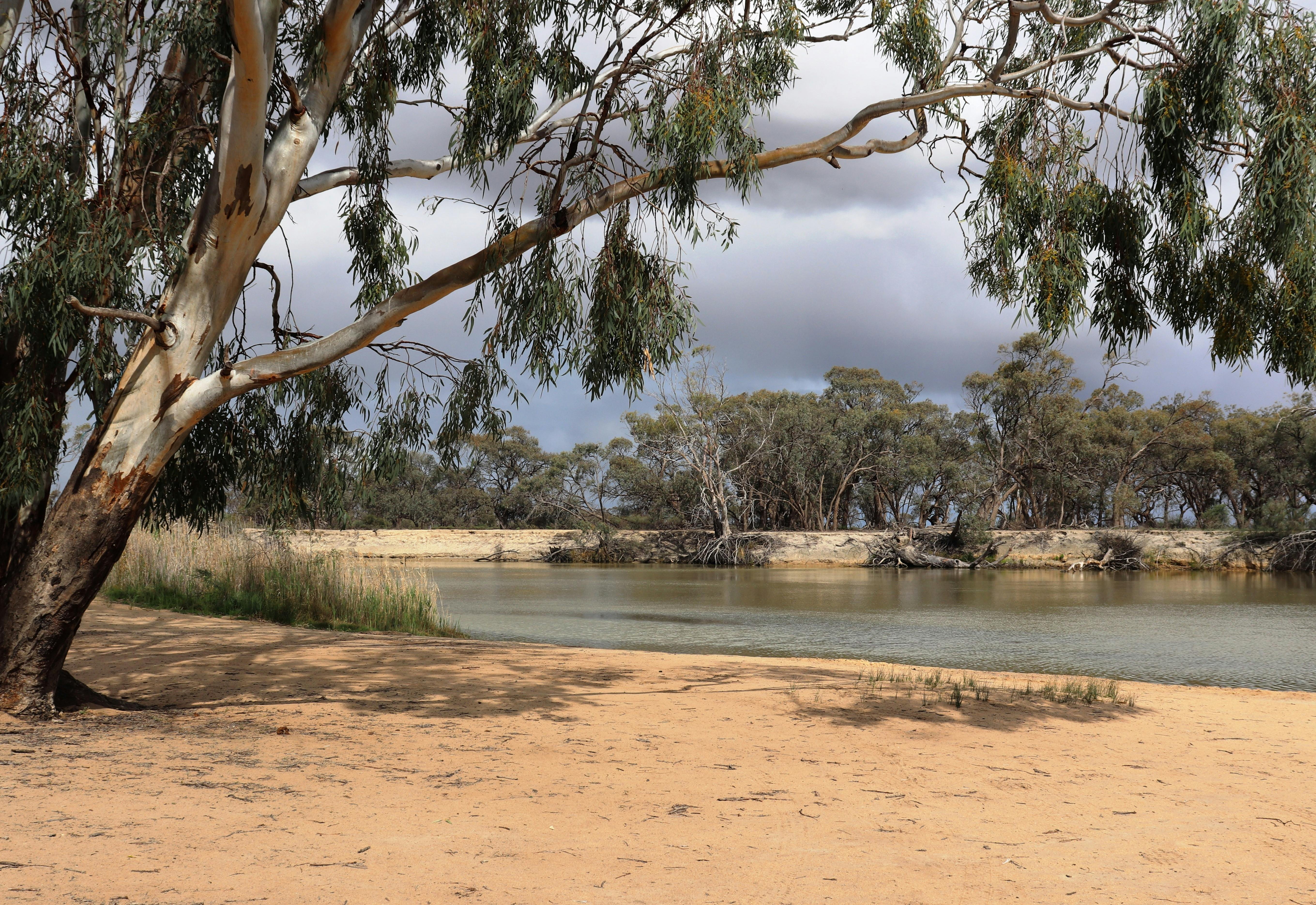 Thiele's Sandbar Campgrounds