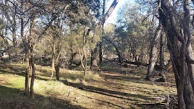 Bushland in the Bandicoit Wildlife Walk
