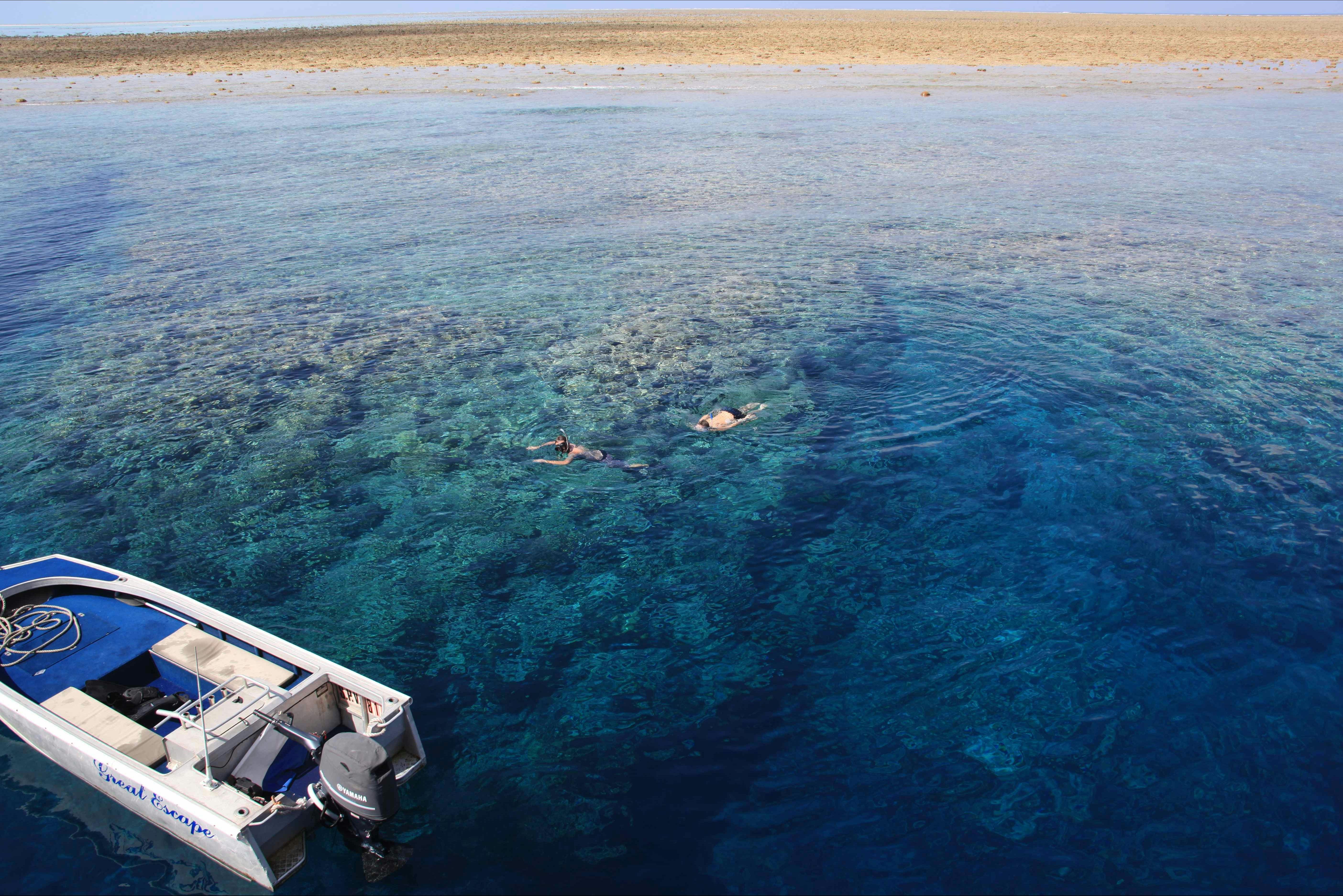 5 or 7 Night Rowley Shoals Underwater Adventure