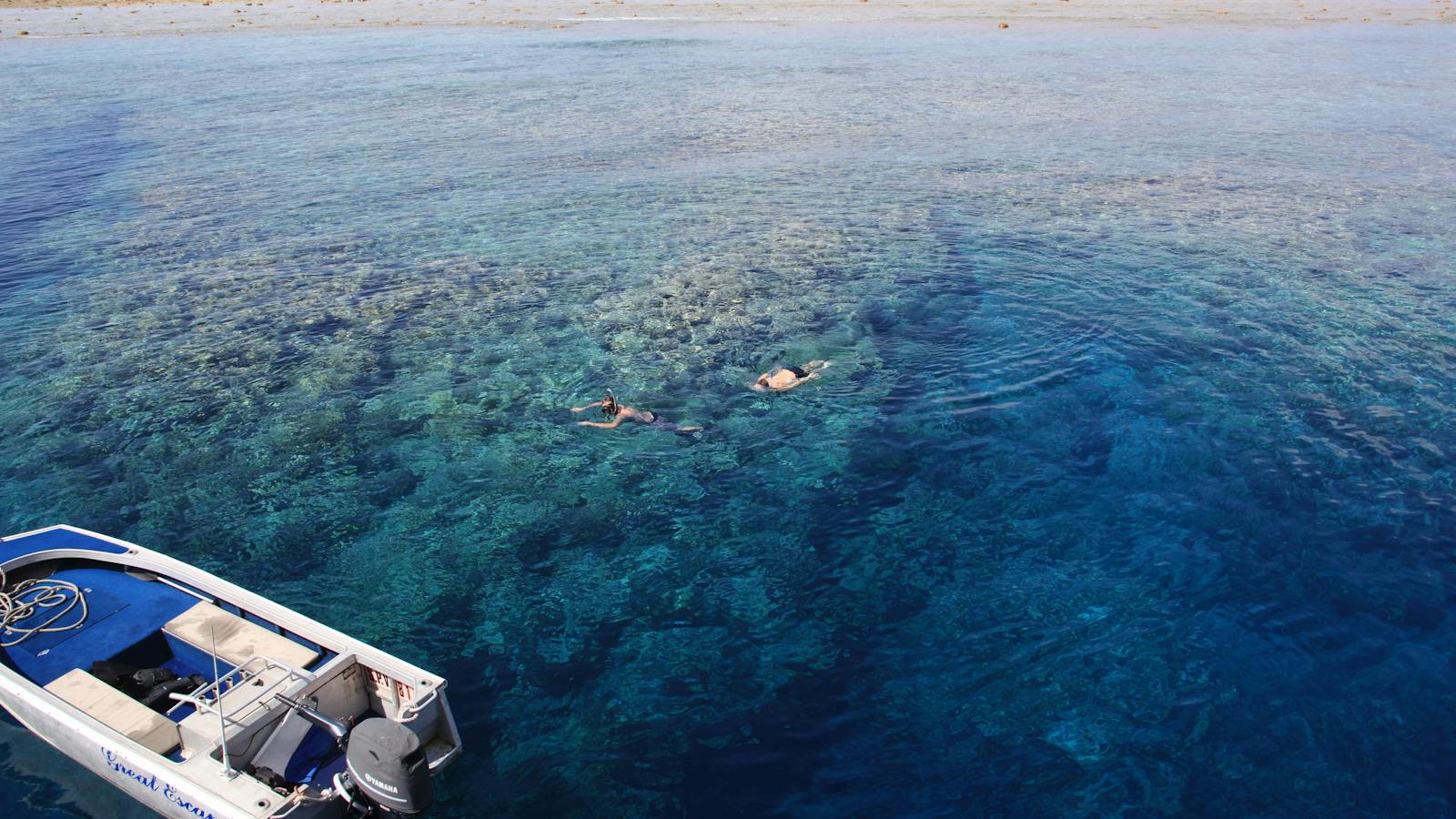 5 or 7 Night Rowley Shoals Underwater Adventure