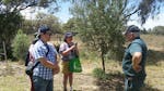 Sydney visitors meet an olive farmer and learn how different olive varieties are managed.