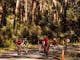 7 Peaks Ride - Mt Baw Baw