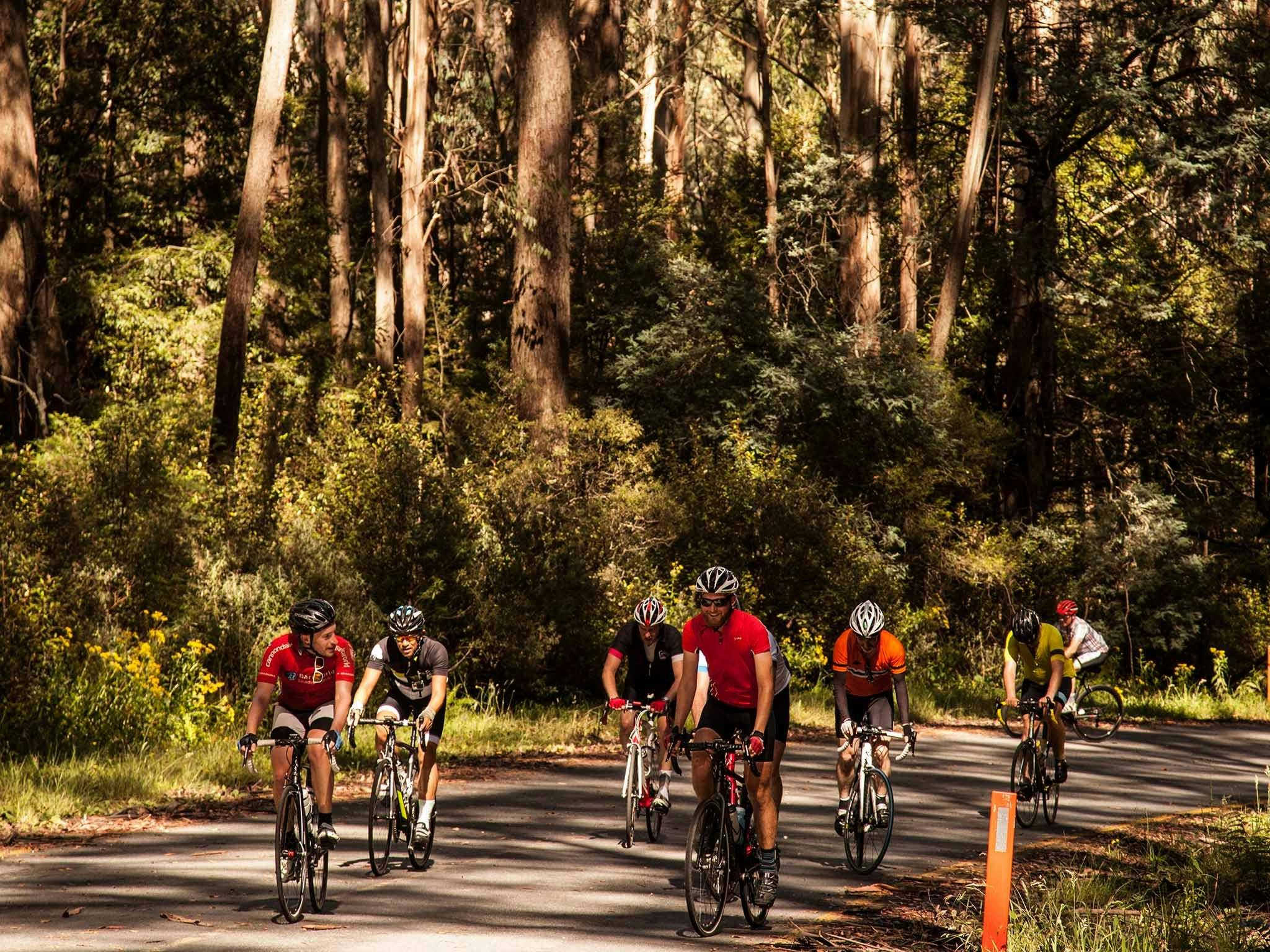 7 Peaks Ride - Mt Baw Baw