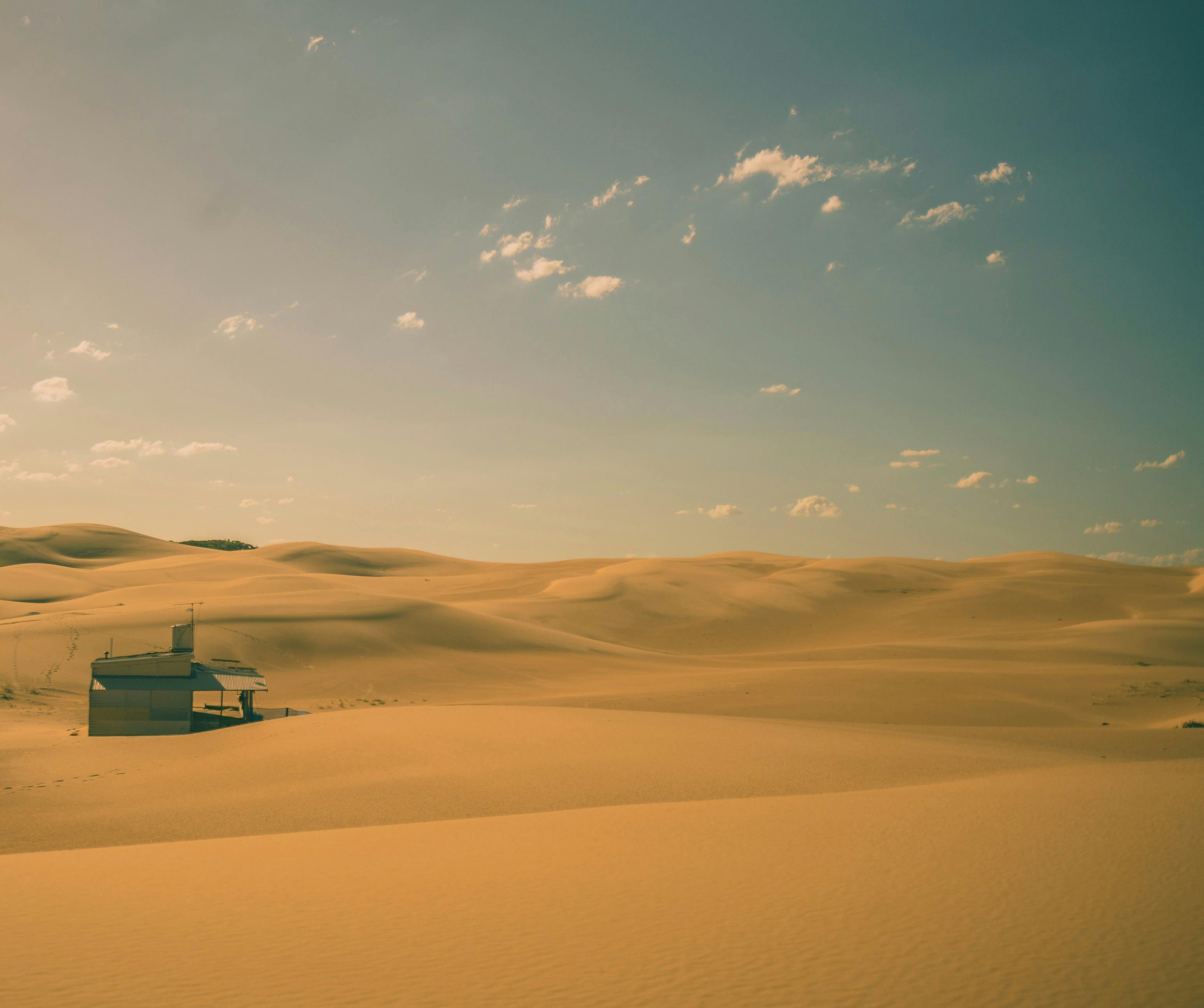 The golden sands of the Worimi Conservation Lands. Visit Tin City with Sand Dune Safaris