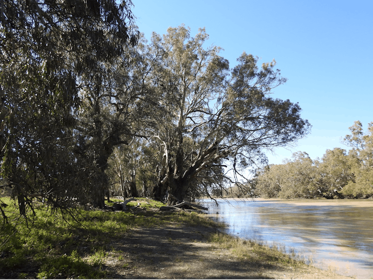 Darling River - Warrawong on the Darling