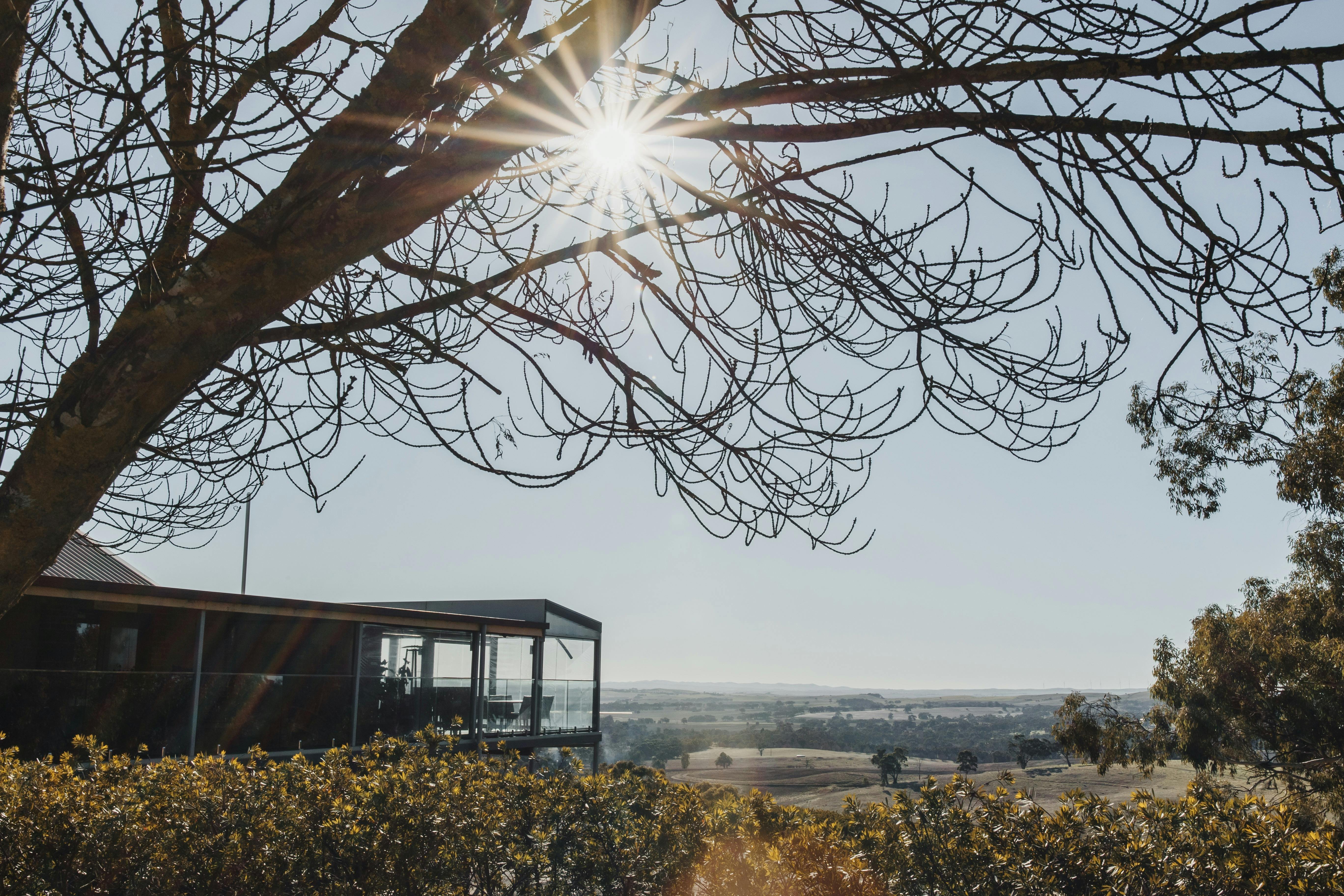 Pauletts Winter Red Wine & Canapé Experience