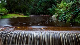 O'Neills Creek picnic reserve