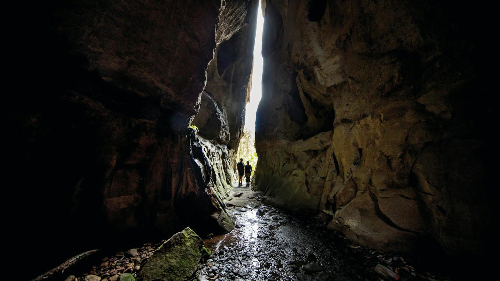 Carnarvon Gorge