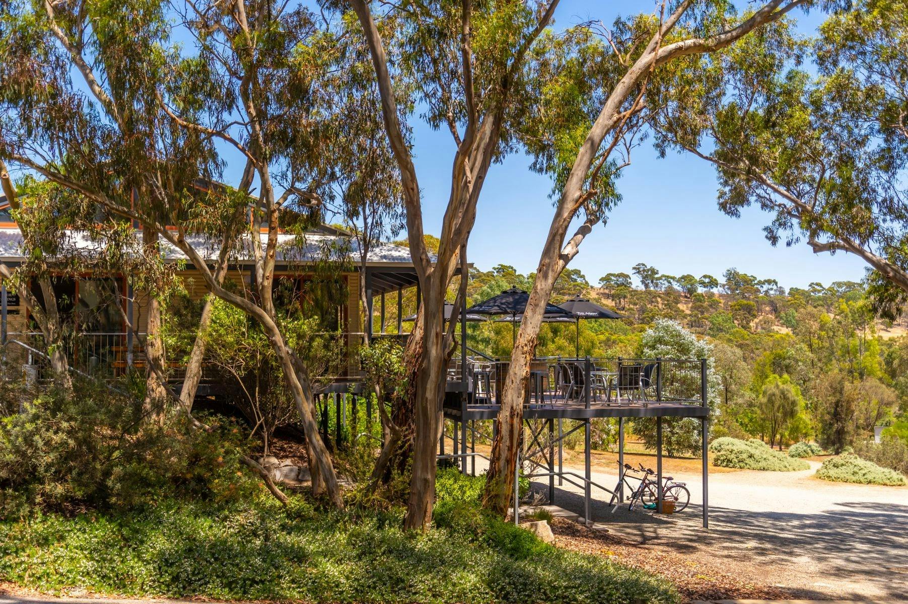 On the deck overlooking the gums