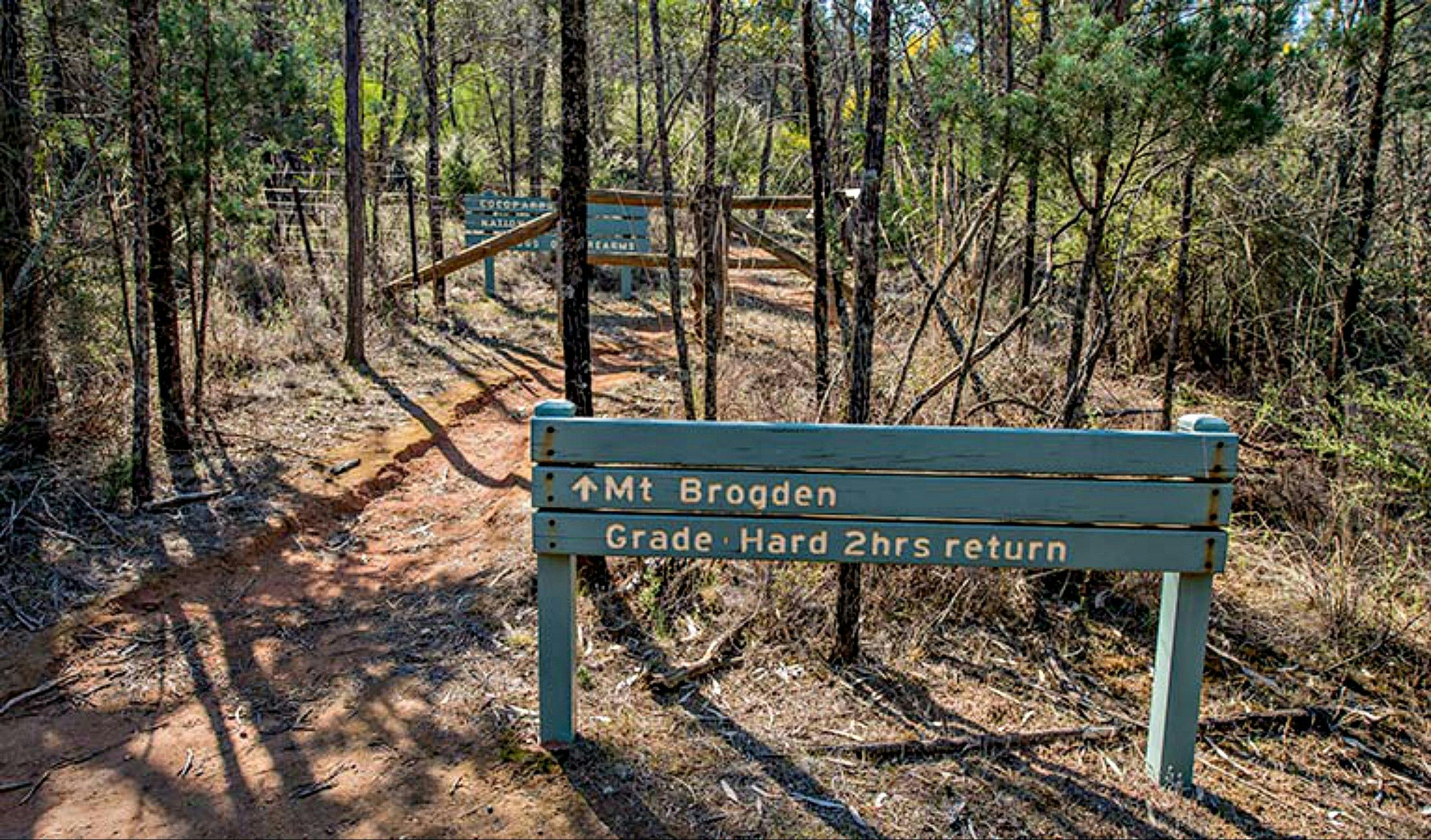 Mount Brogden walking track, Cocoparra National Park. Photo: John Spencer