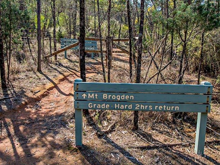 Mount Brogden walking track, Cocoparra National Park. Photo: John Spencer