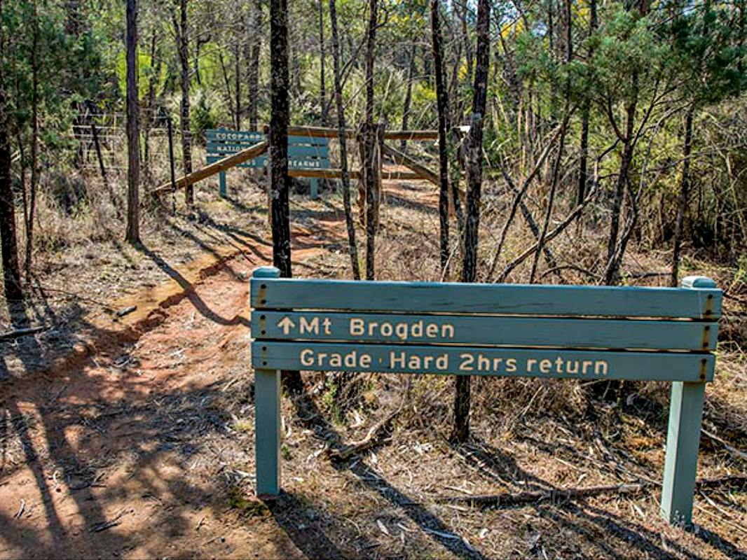Mount Brogden Walking Track