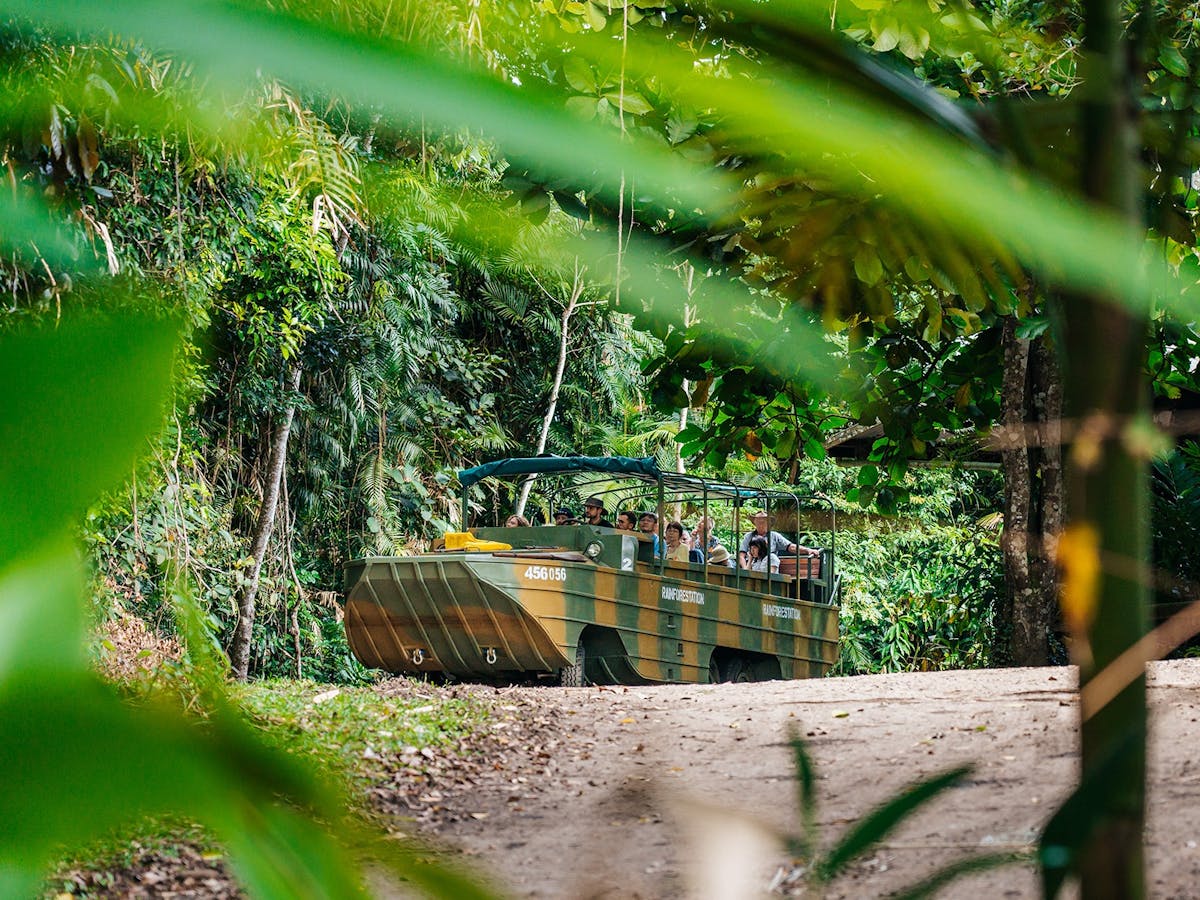 Rainforest Army Duck Tour