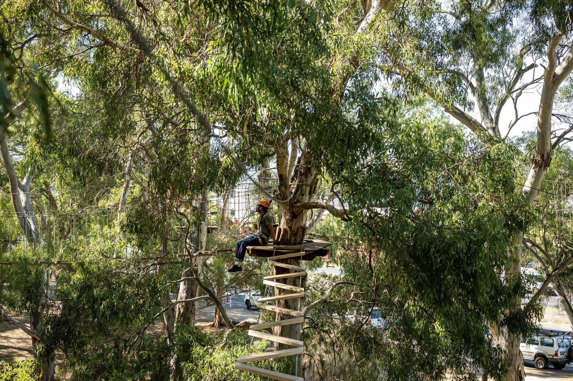 TreeClimb Adelaide Climber Takes a Break
