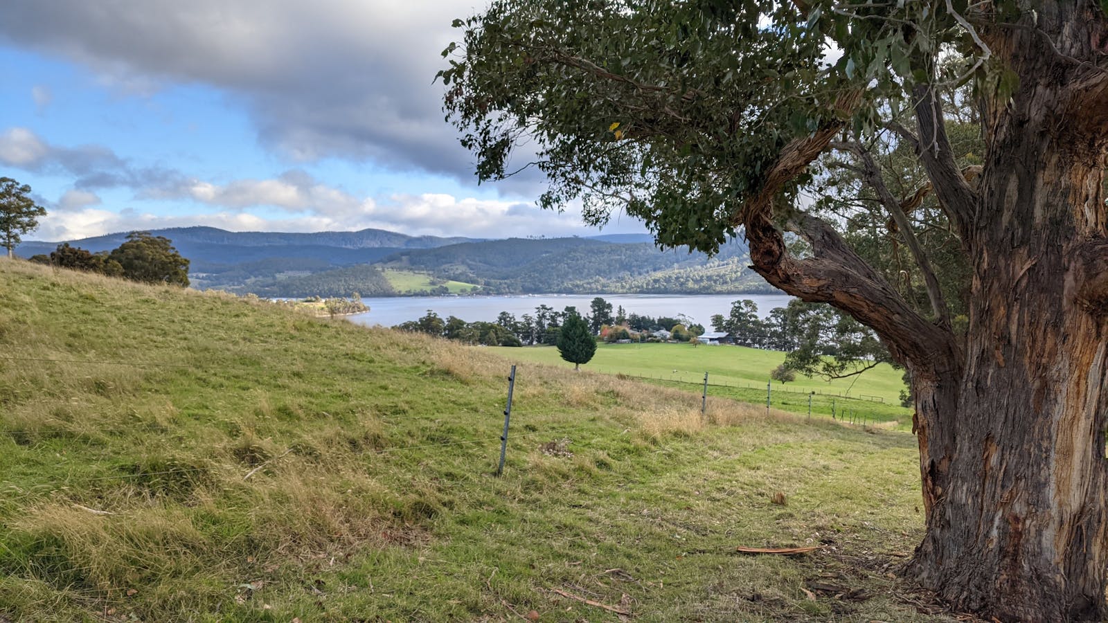 Back up the farm views