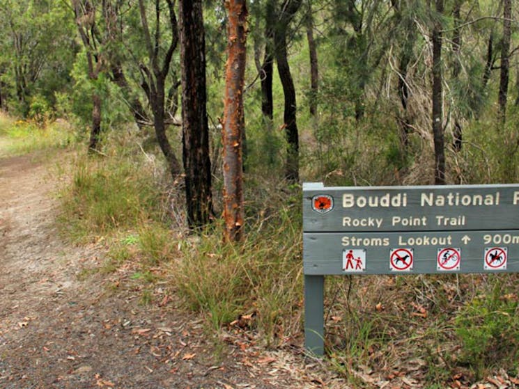 Rocky Point trail, Bouddi National Park. Photo: John Yurasek