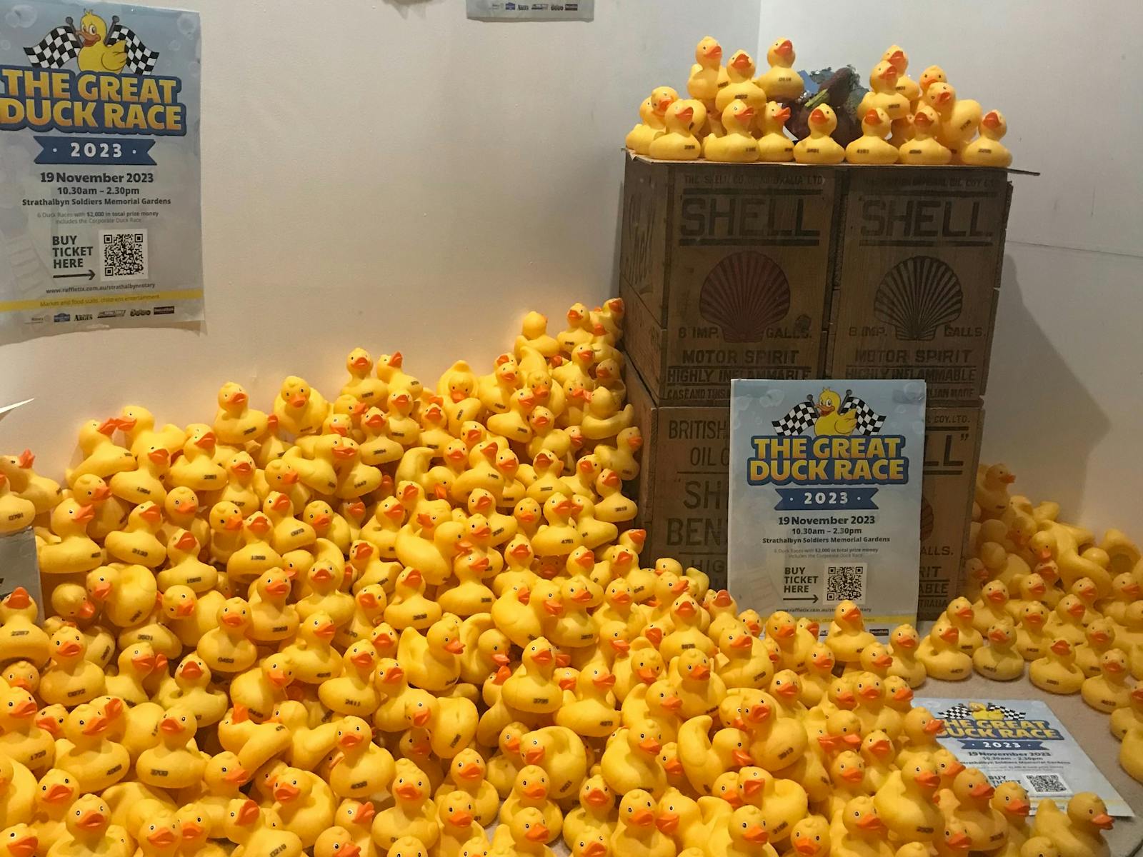 Image for Strathalbyn Rotary Duck Race
