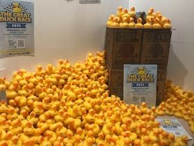 Strathalbyn Rotary Duck Race Cover Image