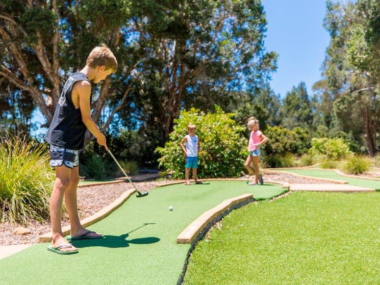 Mini-golf