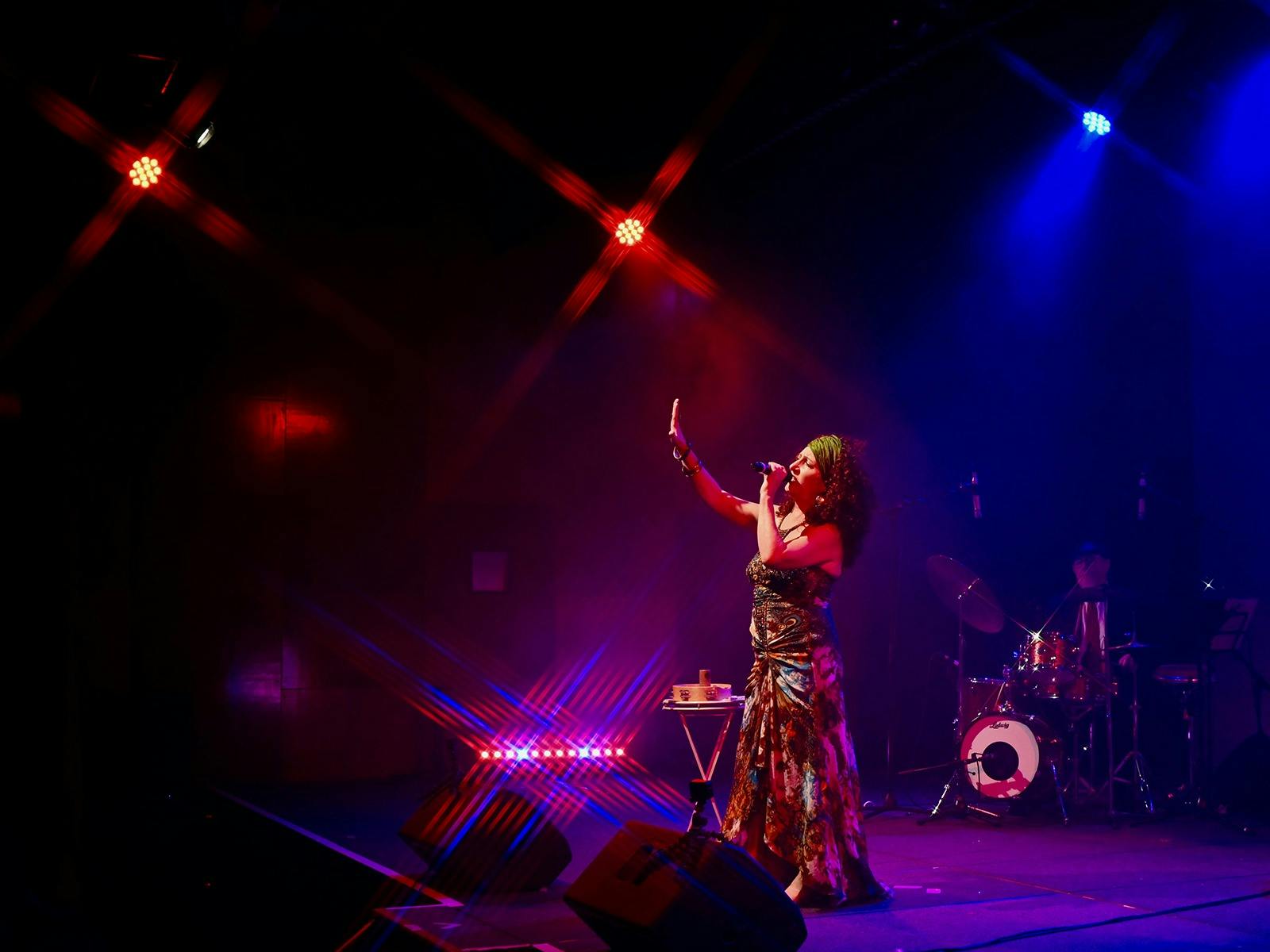 Nina Simone -  A Musical Life | Adelaide Fringe Slider Image 8