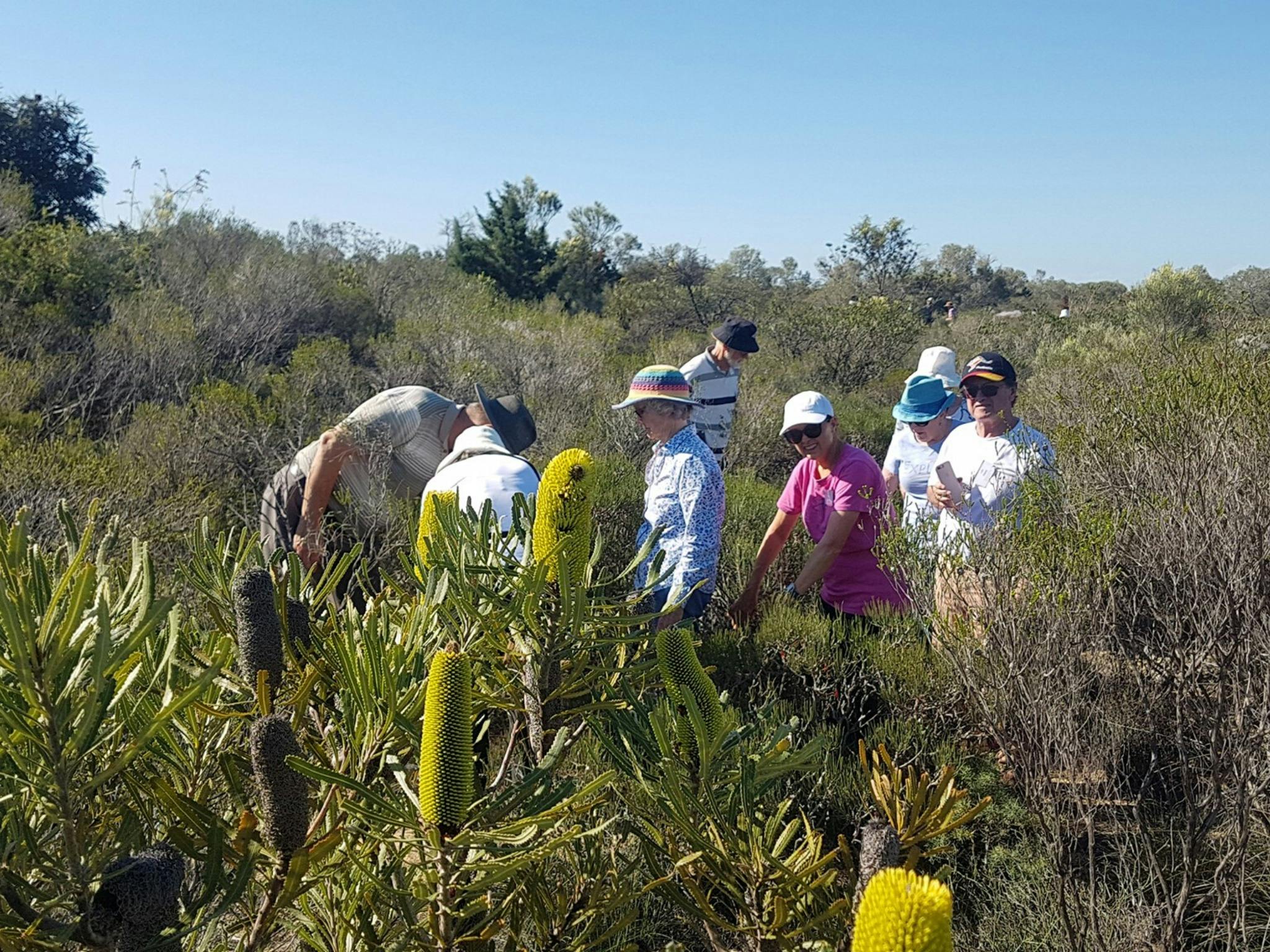 Casey Australia Tours, O'Connor, Western Australia