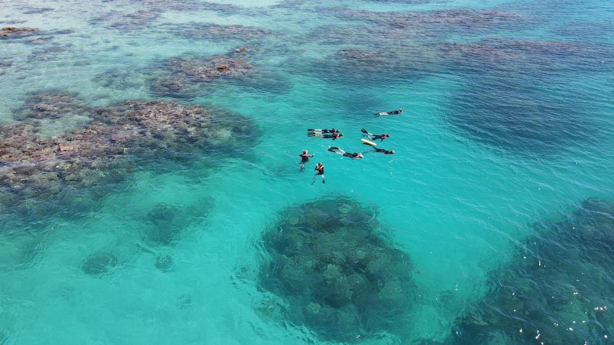 Tiny snorkel group led by marine biologist on the reef