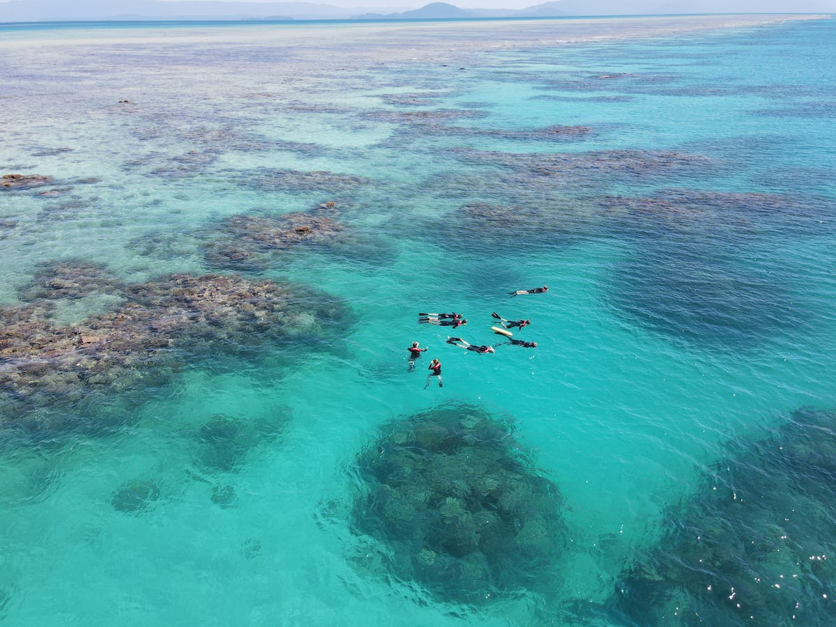 Tiny snorkel group led by marine biologist on the reef