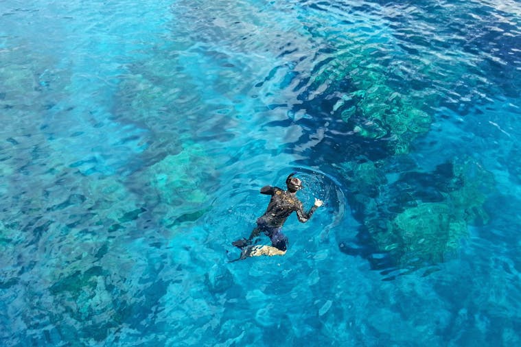 Snorkel, Surf and Sealife on the Fleurieu