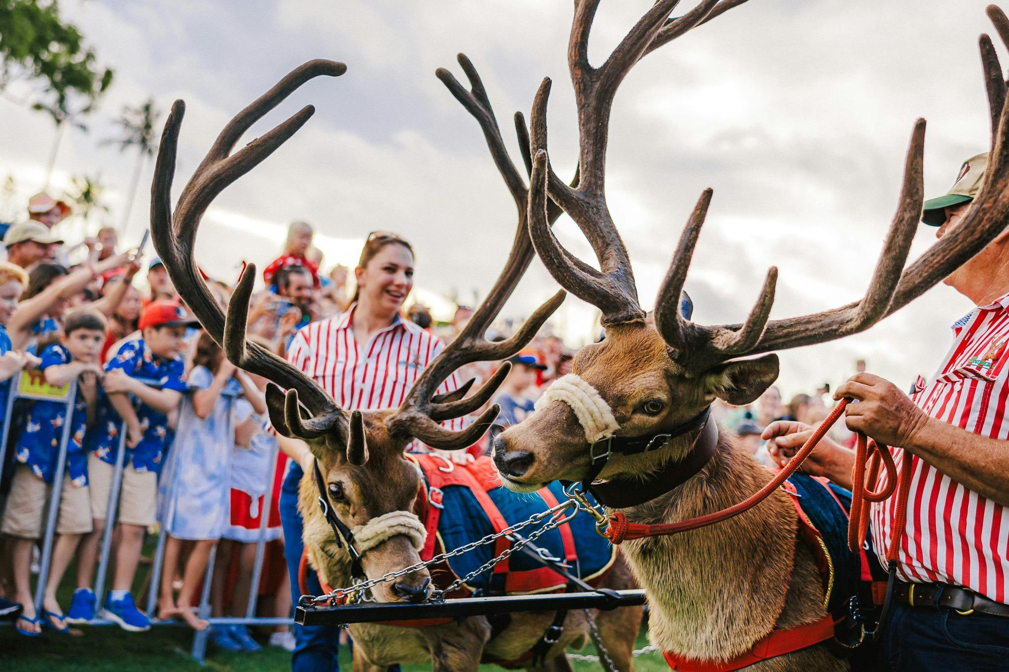 Christmas Carnival 2024
