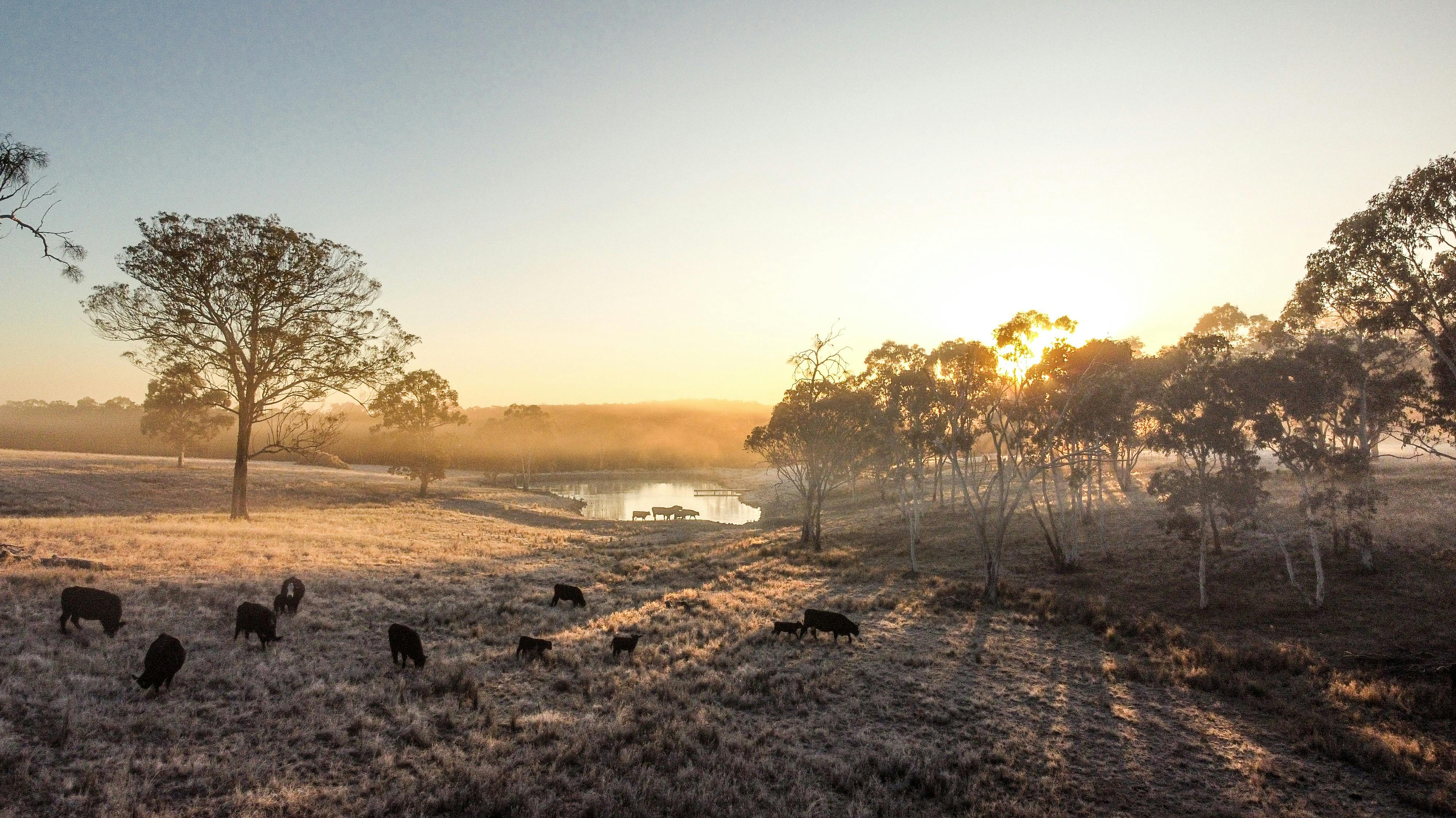 럭셔리 팜스테이 빌라 머지 리전