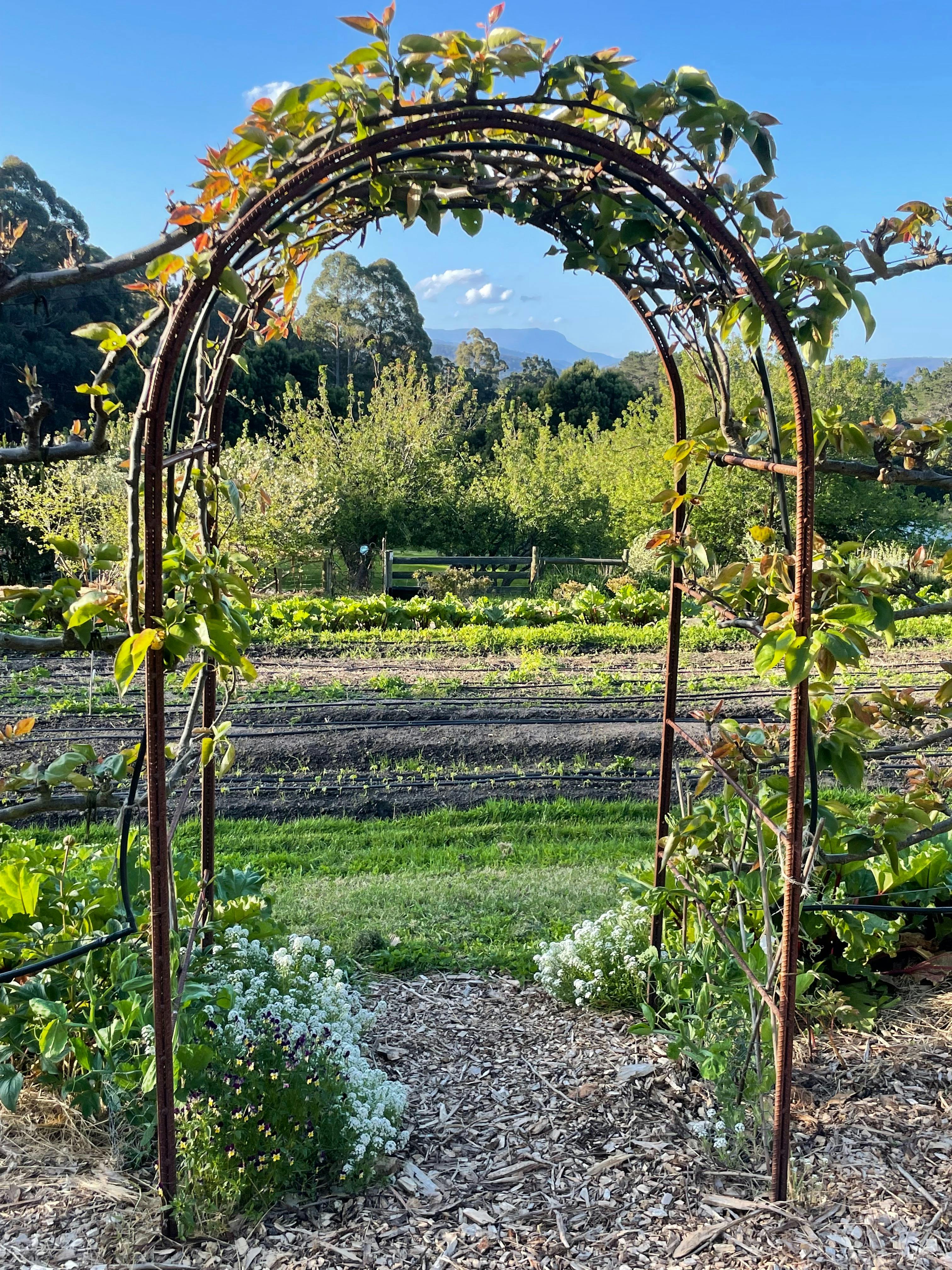 Five bob garden and arch