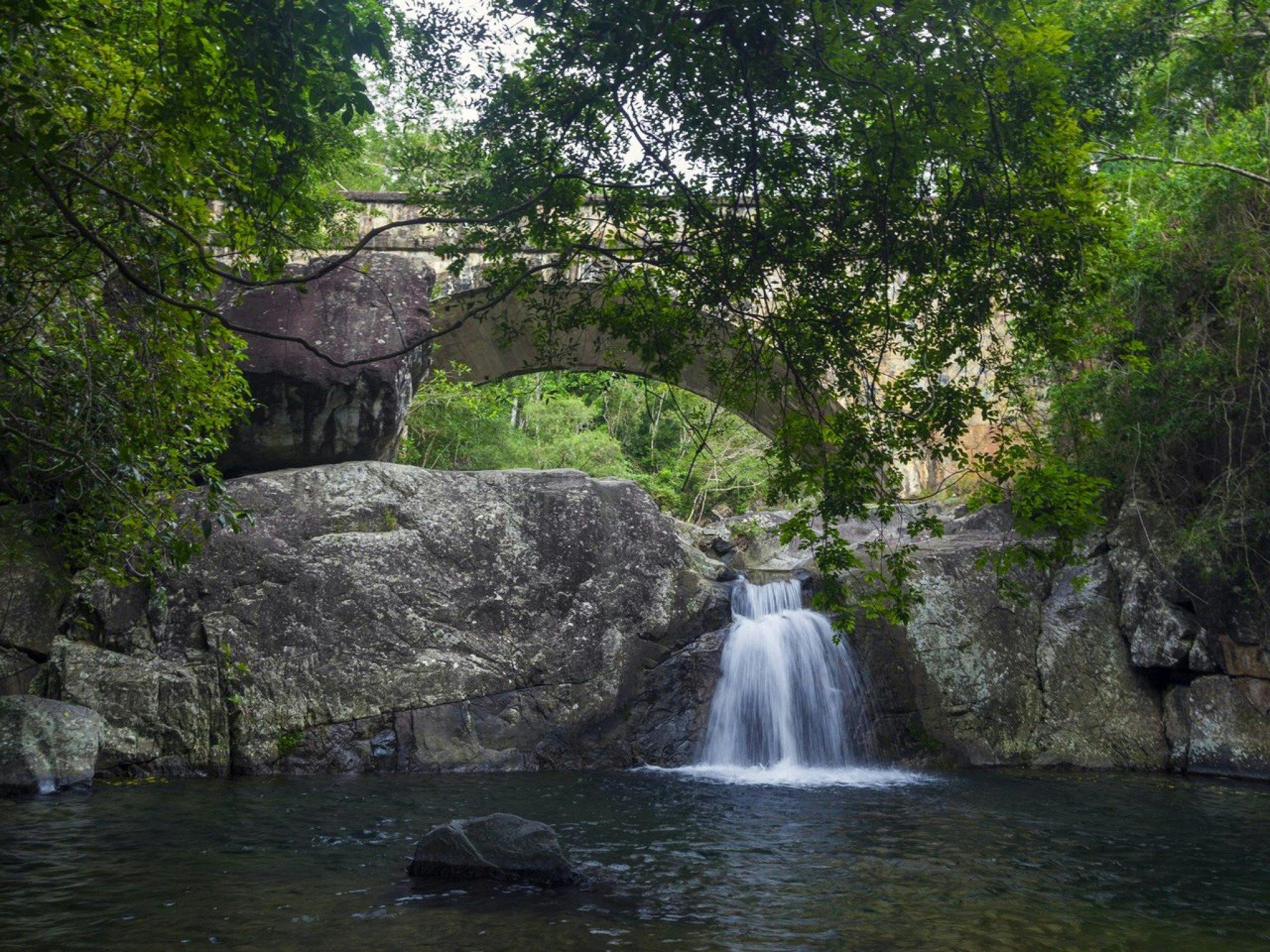 Little Crystal Creek Tropical Coast Tourism
