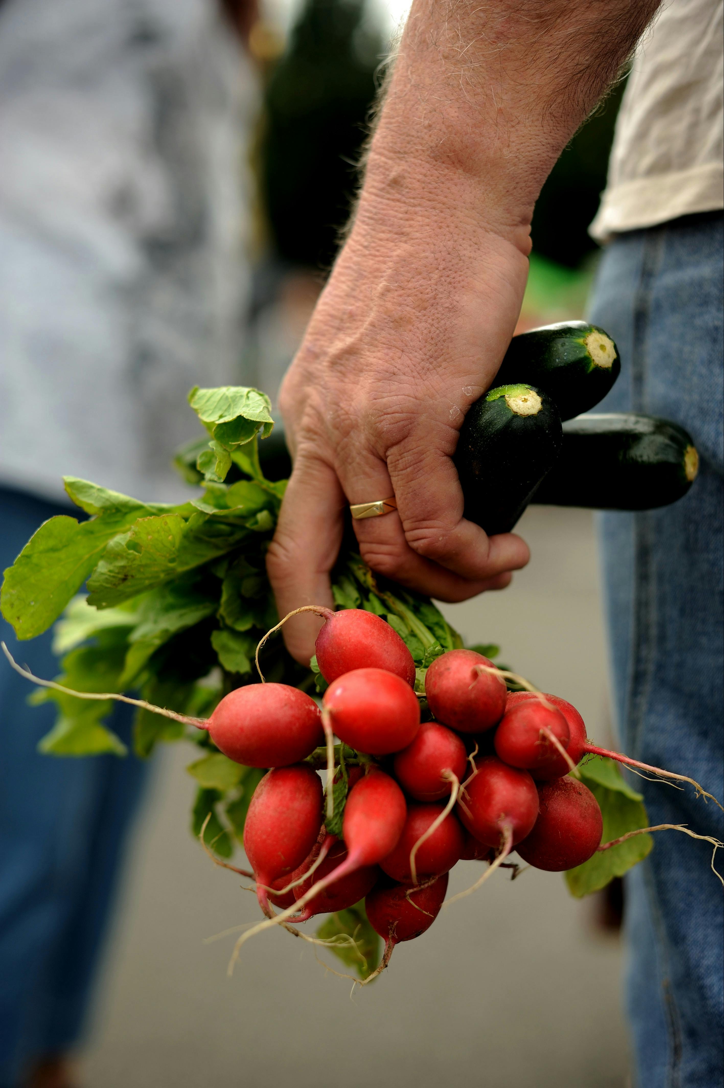 Fresh local produce at Harvest Launceston