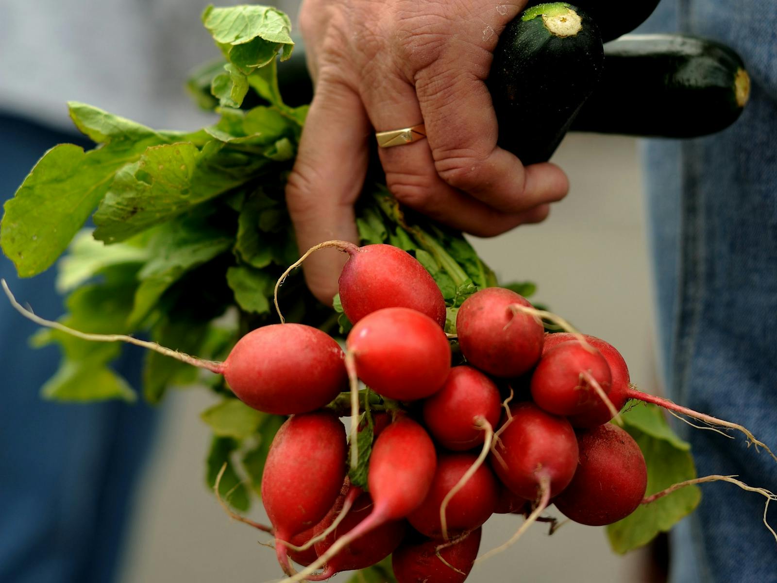 Fresh local produce at Harvest Launceston