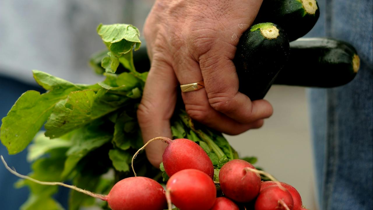 Fresh local produce at Harvest Launceston