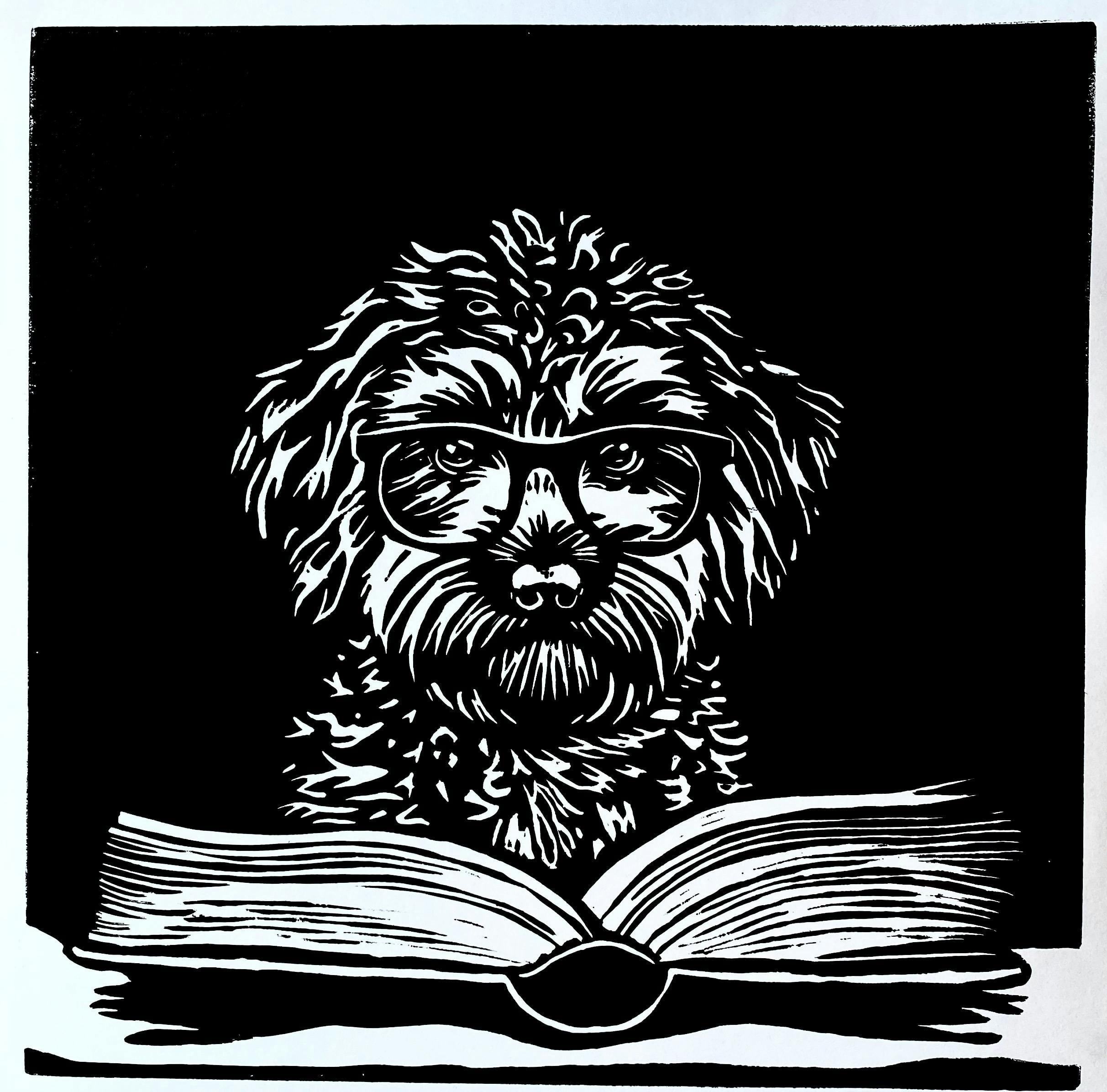 Demanding Proof - Exhibition by Colin Clark