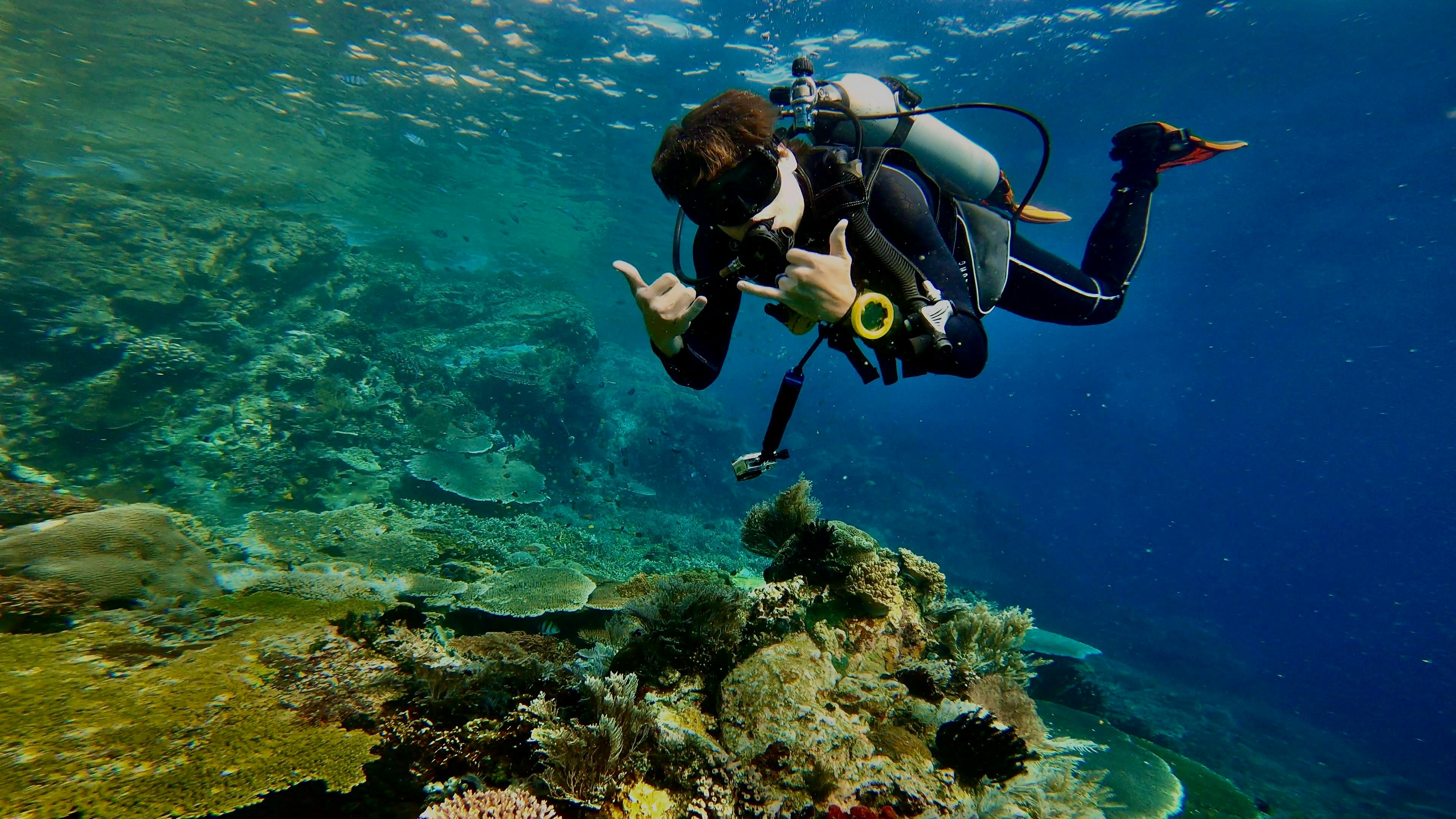 Sapphire Coast Scuba