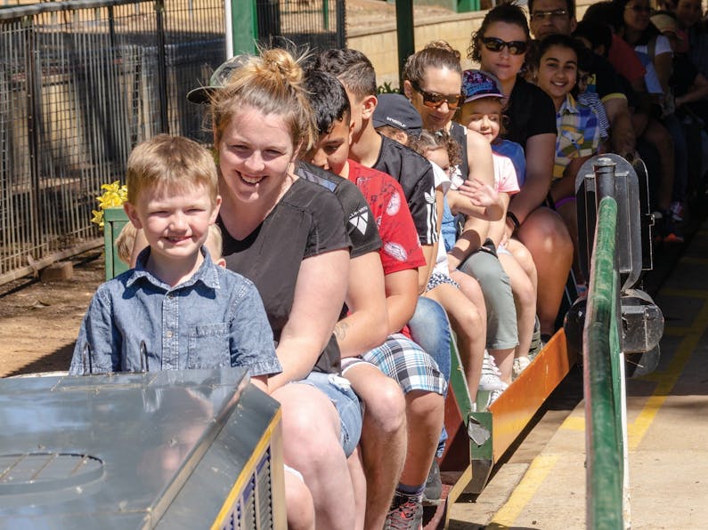 Image of the event 'Willans Hill Miniature Railway Rides: Open Days'