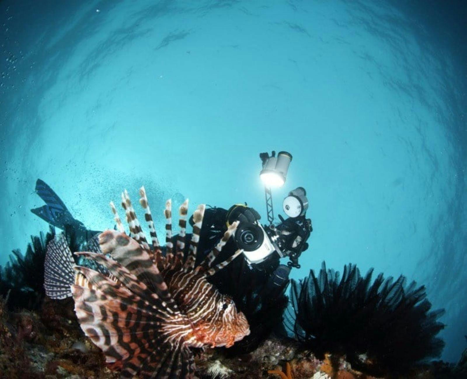 Erscott's Hole Lord Howe Island